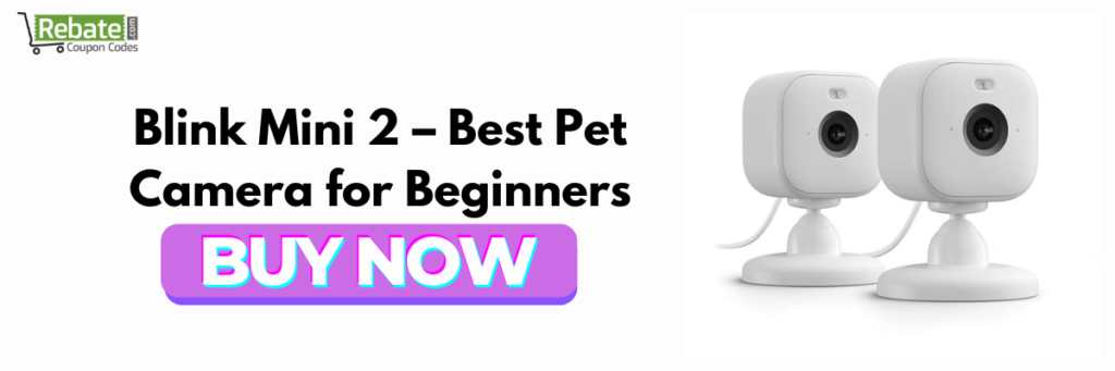 Blink Mini 2 – Best Pet Camera for Beginners