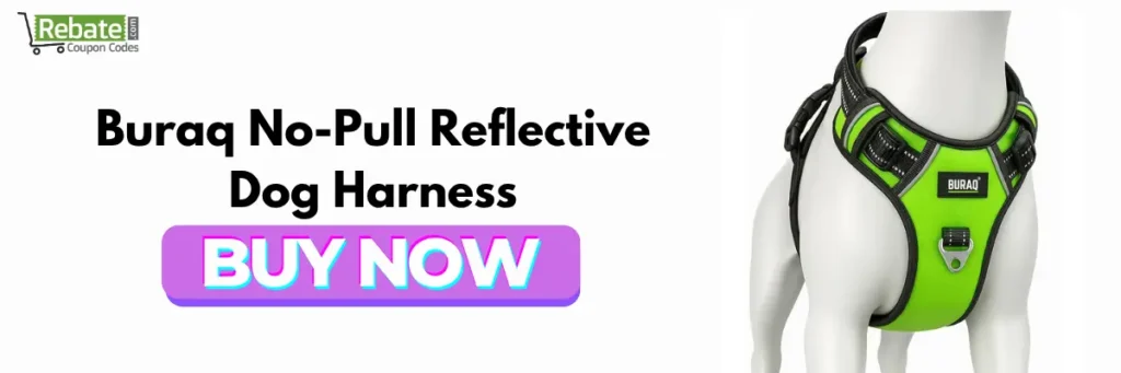 Buraq No-Pull Reflective Dog Harness