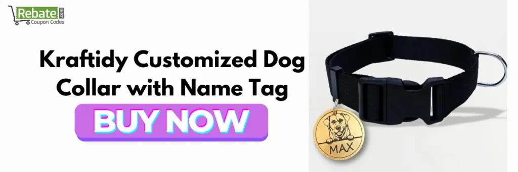 Kraftidy Customized Dog Collar with Name Tag: Dog Collar Belts 