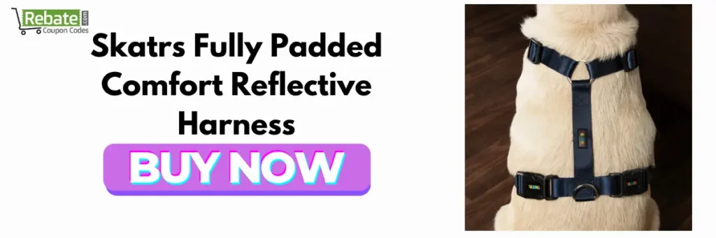 Skatrs Fully Padded Comfort Reflective Harness: Dog Collar Belts 
